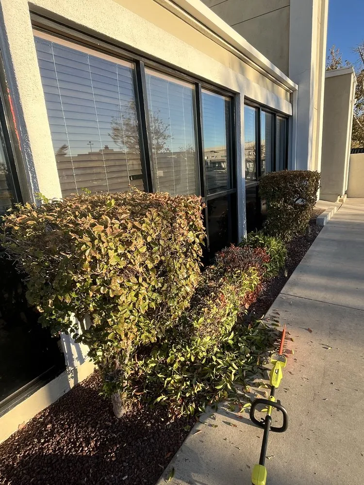 Professional landscape design in Hesperia, CA by April’s Garden