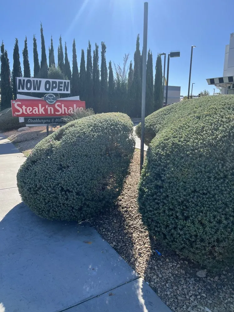 Affordable lawn care service near you across Hesperia, CA - April’s Garden