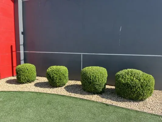 April’s Garden Logo