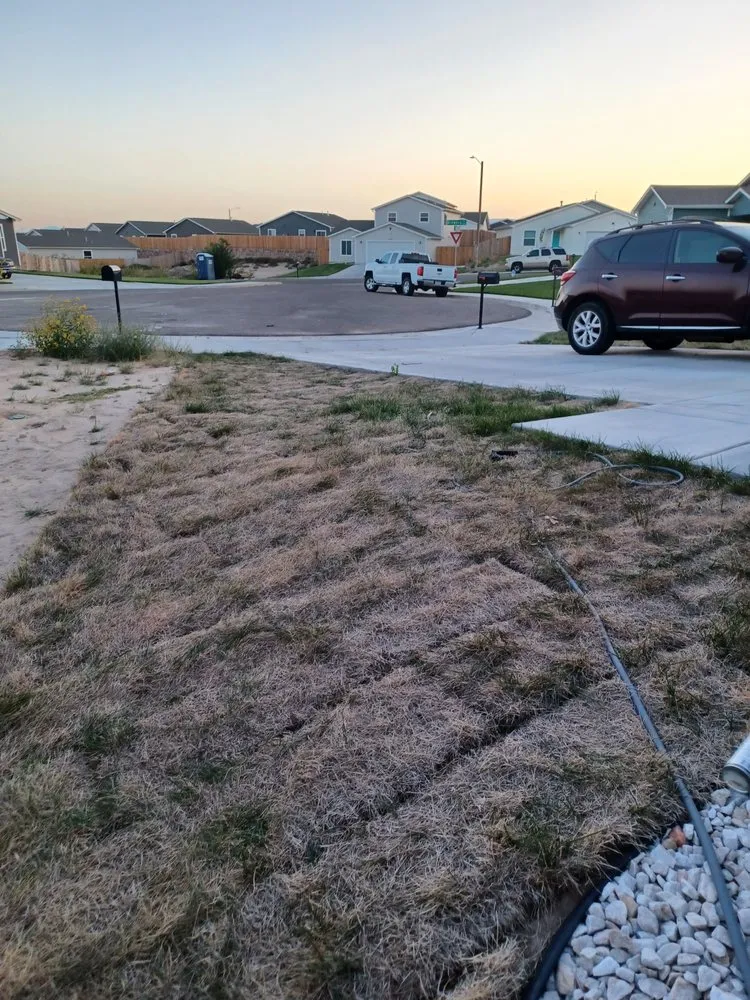 Custom lawn care service in Pueblo, CO by APS Lawn And Landscaping