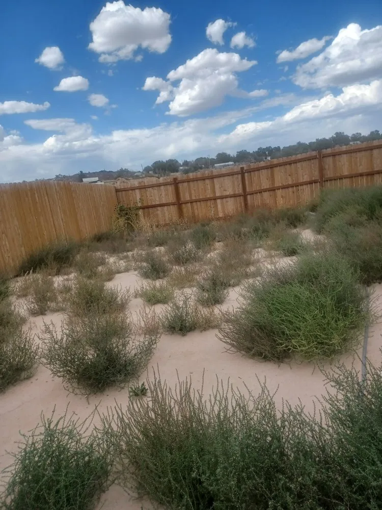 Top-rated landscape design experts serving Pueblo, CO - APS Lawn And Landscaping