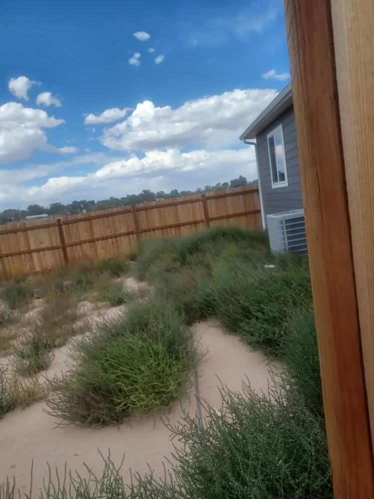 Custom yard maintenance for beautiful yards across Pueblo, CO - APS Lawn And Landscaping