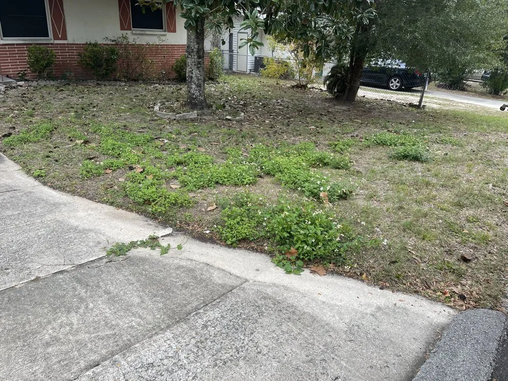 Local yard cleanup service for outdoor upgrades across Umatilla, FL - APT Services
