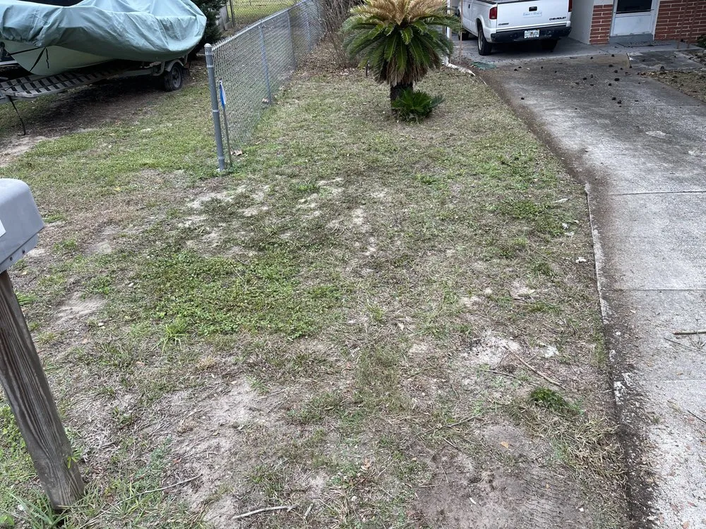 Custom lawn care service for outdoor upgrades in Umatilla, FL by APT Services