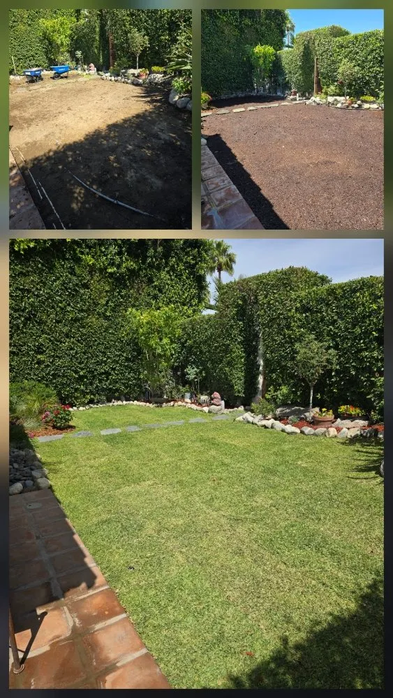 Local outdoor landscaping experts serving Cathedral City, CA - AQ Landscape & Maintenance
