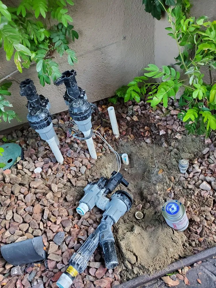 Local landscaping services for homes across Cathedral City, CA - AQ Landscape & Maintenance