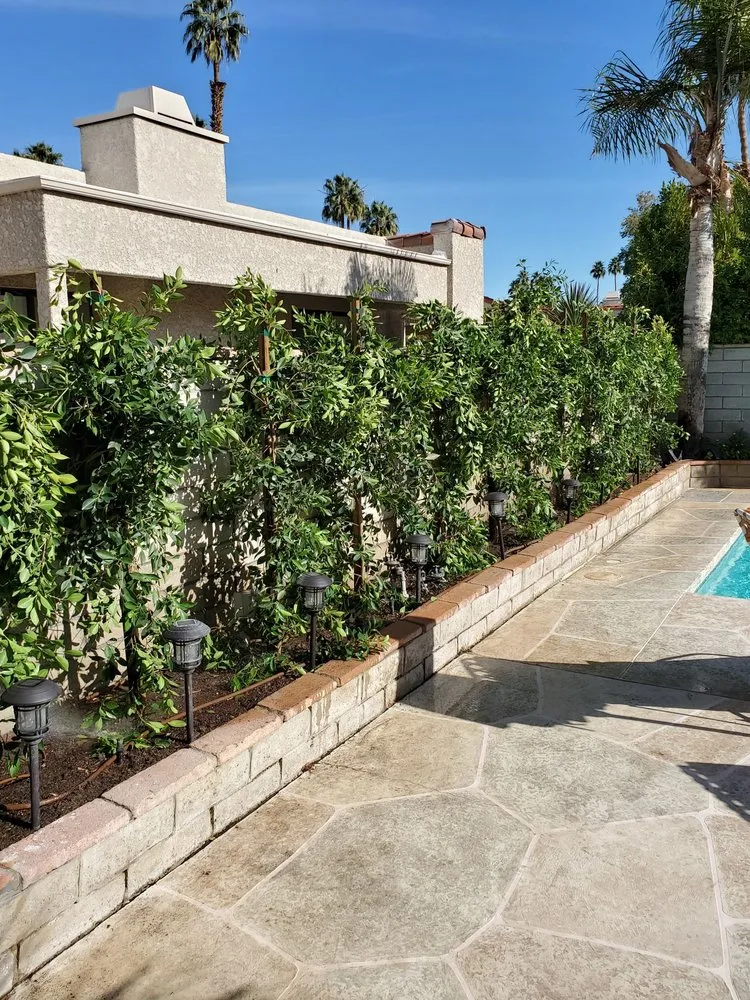 Affordable residential landscaping in Cathedral City, CA by AQ Landscape & Maintenance