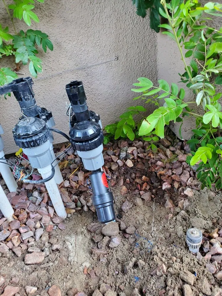 Expert garden landscaping experts serving Cathedral City, CA - AQ Landscape & Maintenance