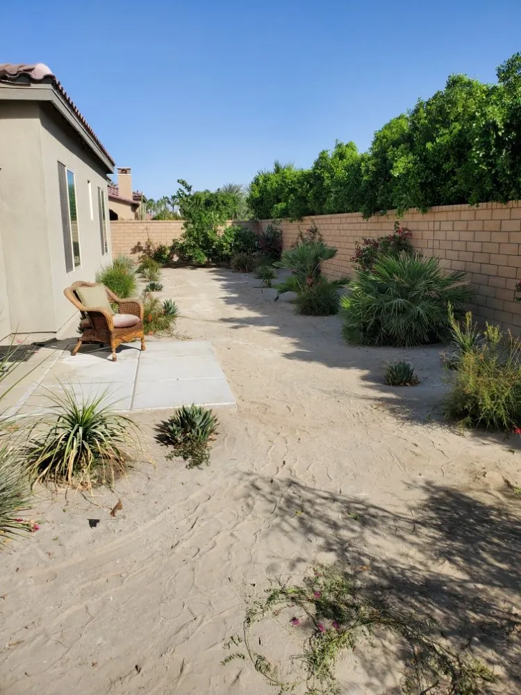 Professional lawn care service in Cathedral City, CA - AQ Landscape & Maintenance