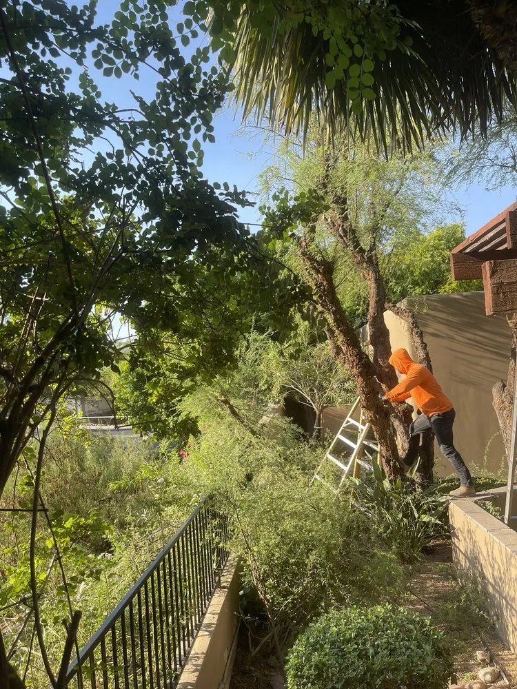 Affordable lawn mowing service in Phoenix, AZ - AQ Landscaping