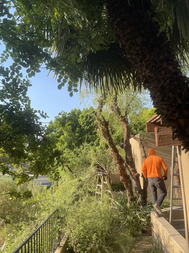 Custom landscaping services in Phoenix, AZ - AQ Landscaping