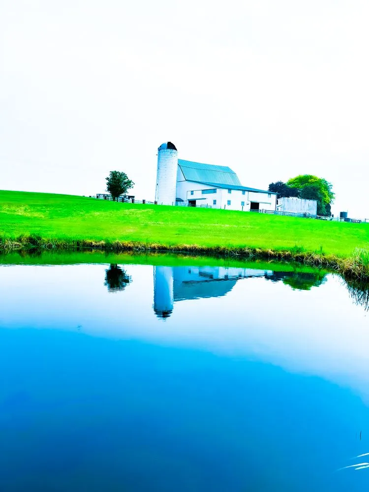 Custom landscape design for outdoor upgrades in Chardon, OH by Aqua Doc