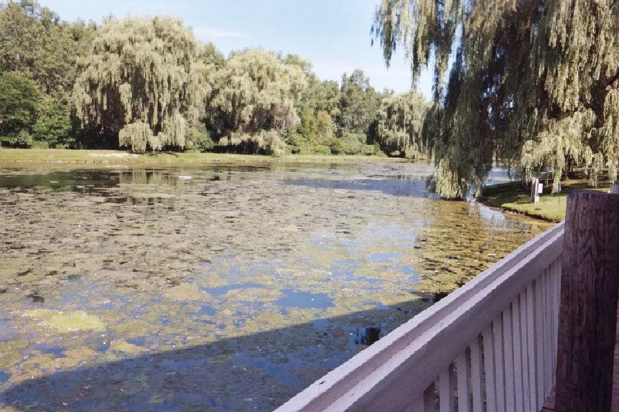 Top-rated outdoor landscaping for residential properties in Chardon, OH by Aqua Doc