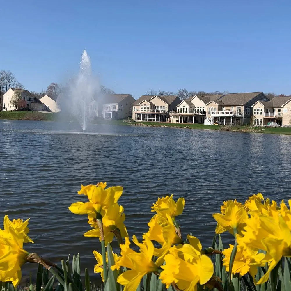 Reliable landscaping services experts serving Chardon, OH - Aqua Doc