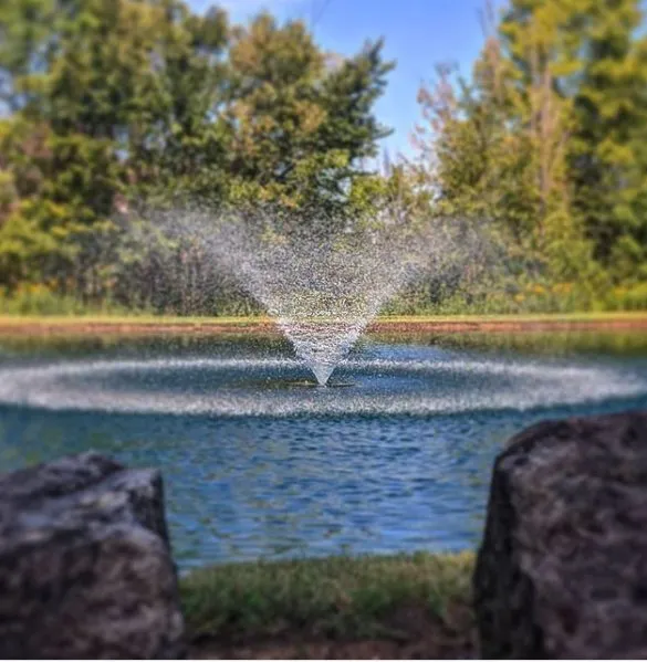 Professional garden landscaping in Chardon, OH - Aqua Doc