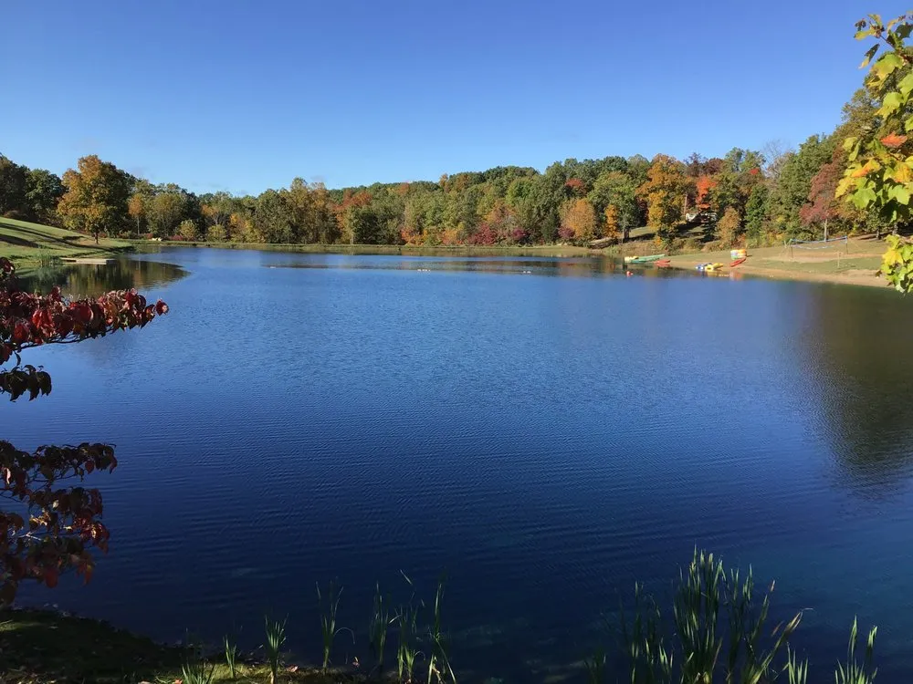 Professional yard cleanup service with custom design across Mercer, PA - Aqua Doc Lake & Pond Management