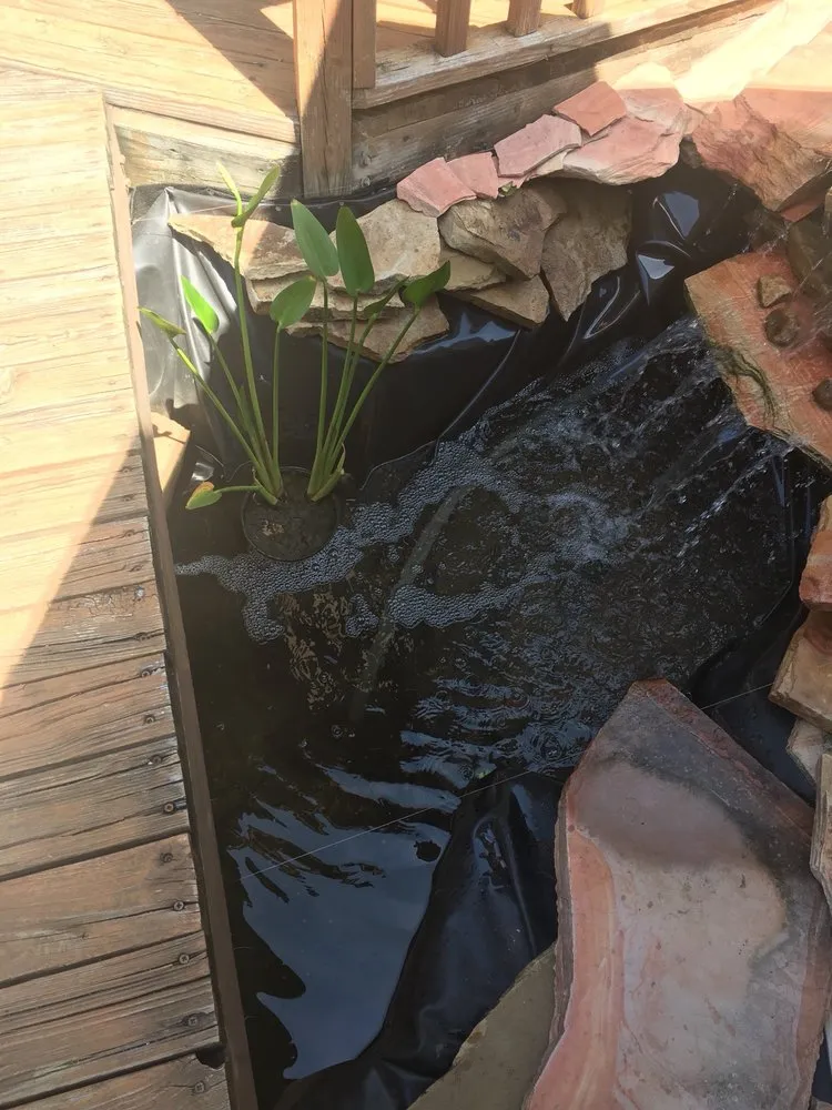 Professional outdoor landscaping in Grapevine, TX by Aqua Environmental Landscapes