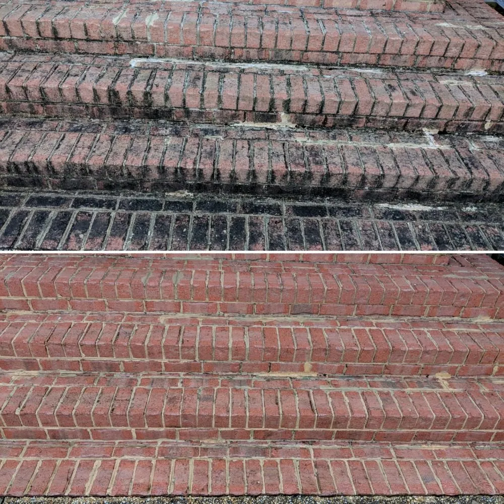 Affordable garden landscaping with custom design in Hampton, VA by Aqua Force