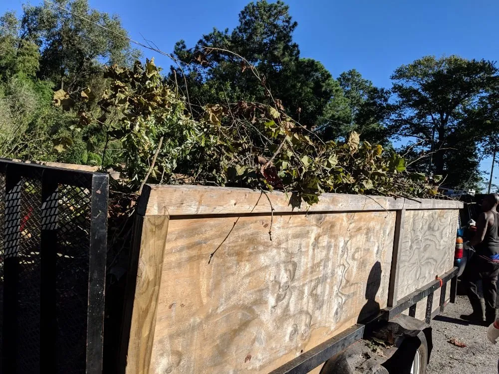 Trusted landscaping services experts serving Hampton, VA - Aqua Force