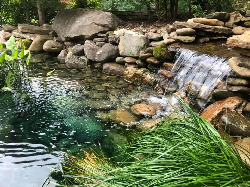 Professional yard maintenance experts serving Peachtree City, GA - Aqua Gardens