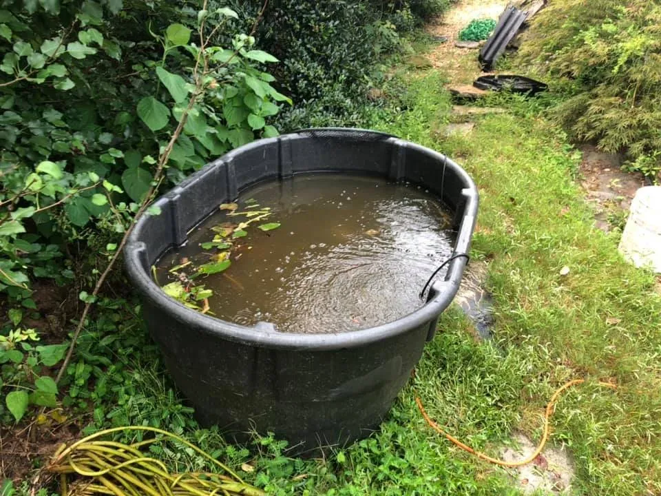 Affordable outdoor landscaping for beautiful yards across Peachtree City, GA - Aqua Gardens