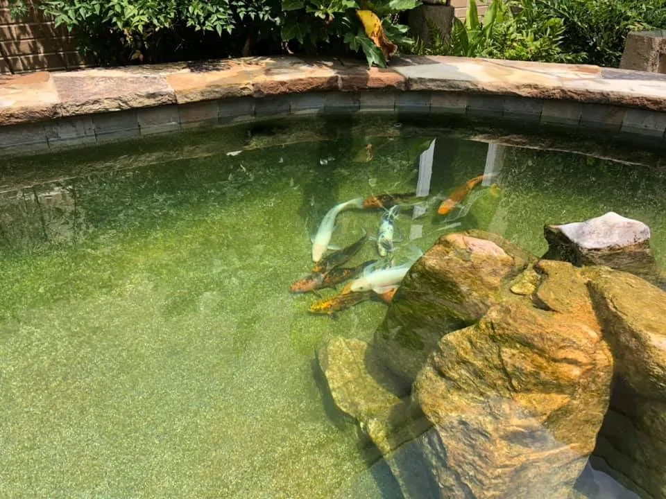 Affordable lawn mowing service in Peachtree City, GA by Aqua Gardens