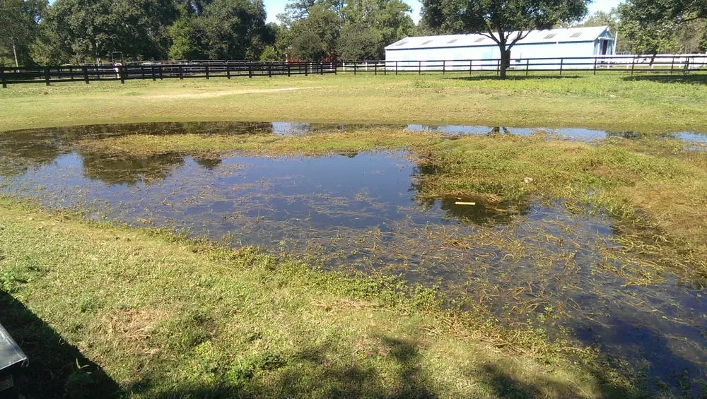 Expert residential landscaping in Houston, TX by Aqua Landscape of Houston