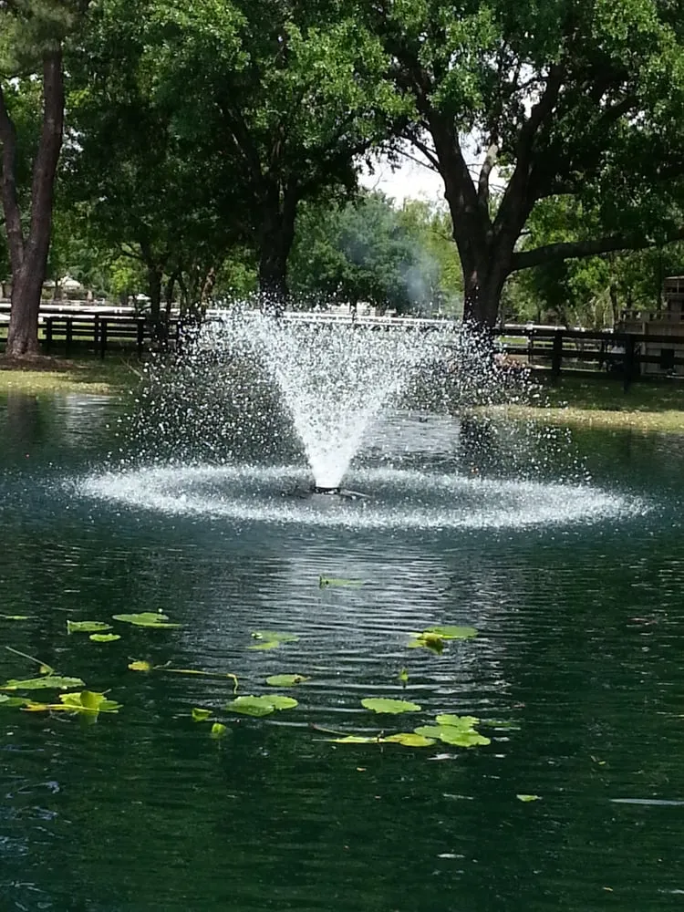 Local yard maintenance for residential properties in Houston, TX by Aqua Landscape of Houston