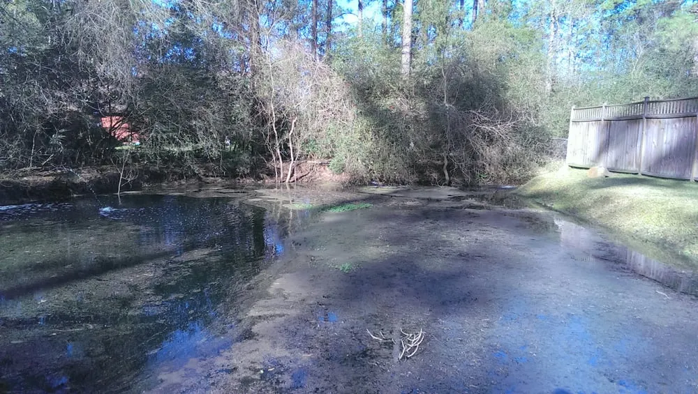 Local lawn care service in Houston, TX - Aqua Landscape of Houston