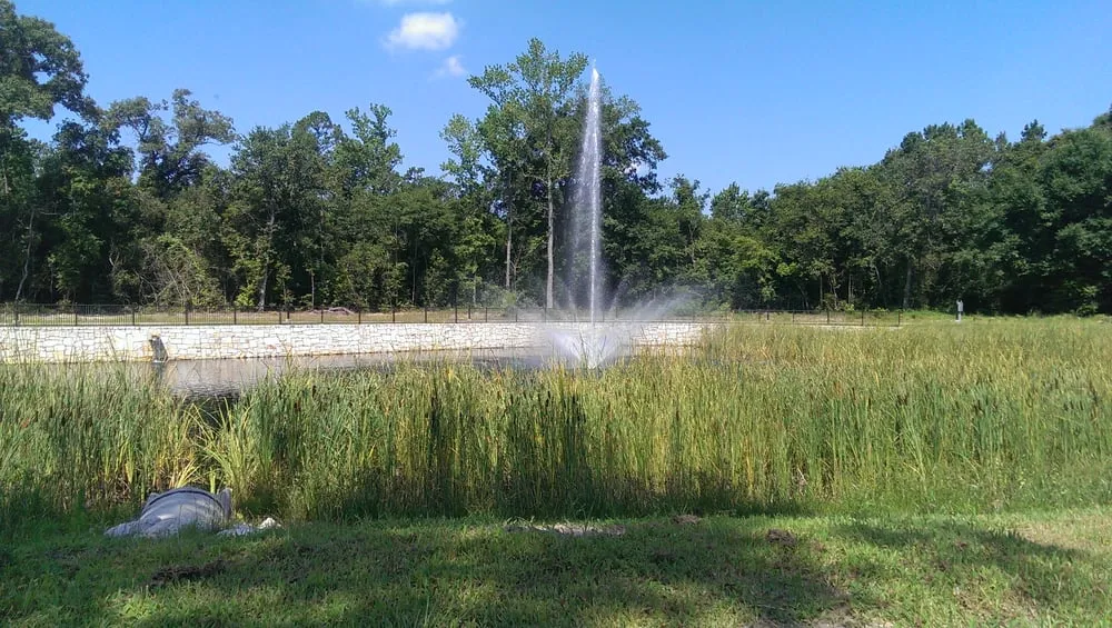 Expert yard maintenance with custom design in Houston, TX by Aqua Landscape of Houston