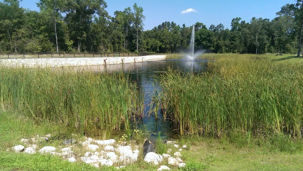 Reliable yard cleanup service in Houston, TX by Aqua Landscape of Houston