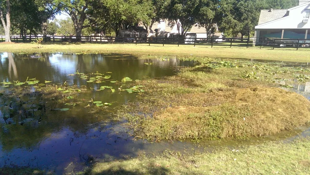 Local outdoor landscaping in Houston, TX by Aqua Landscape of Houston