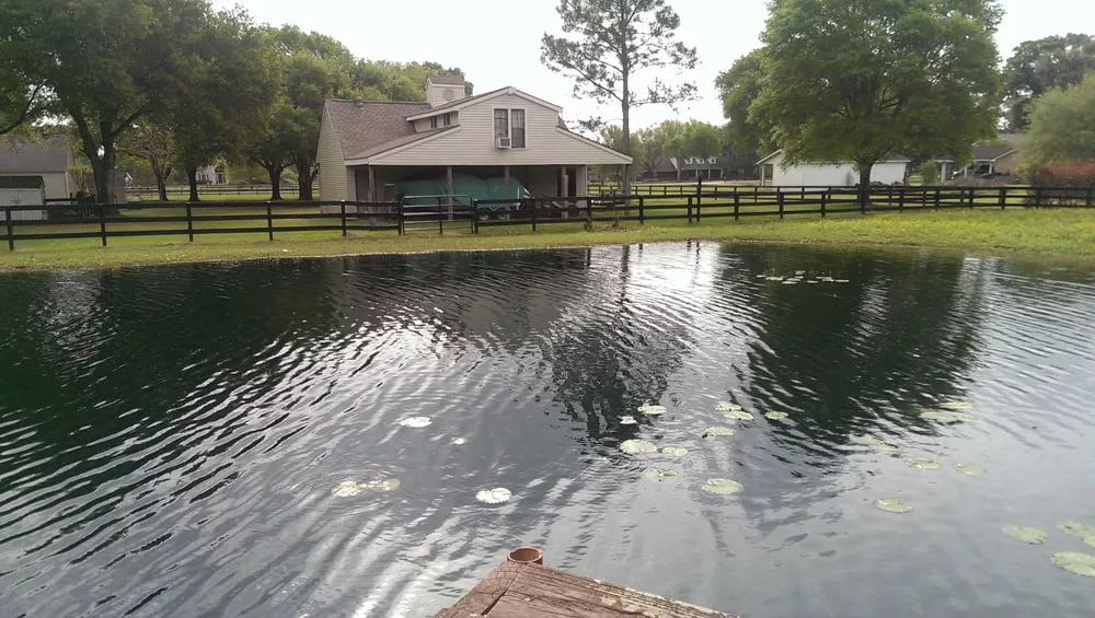 Professional yard maintenance in Houston, TX - Aqua Landscape of Houston