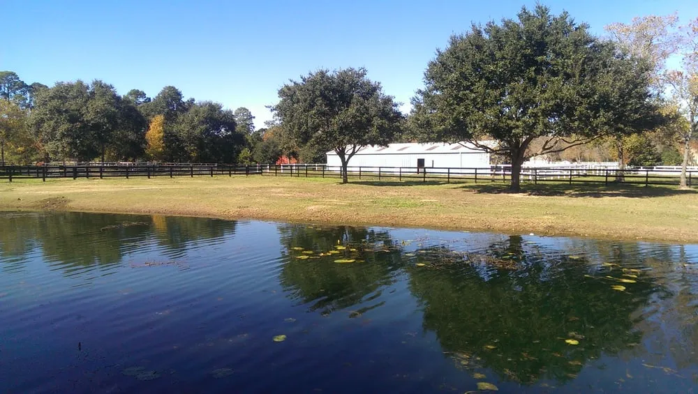 Custom yard maintenance for outdoor upgrades across Houston, TX - Aqua Landscape of Houston