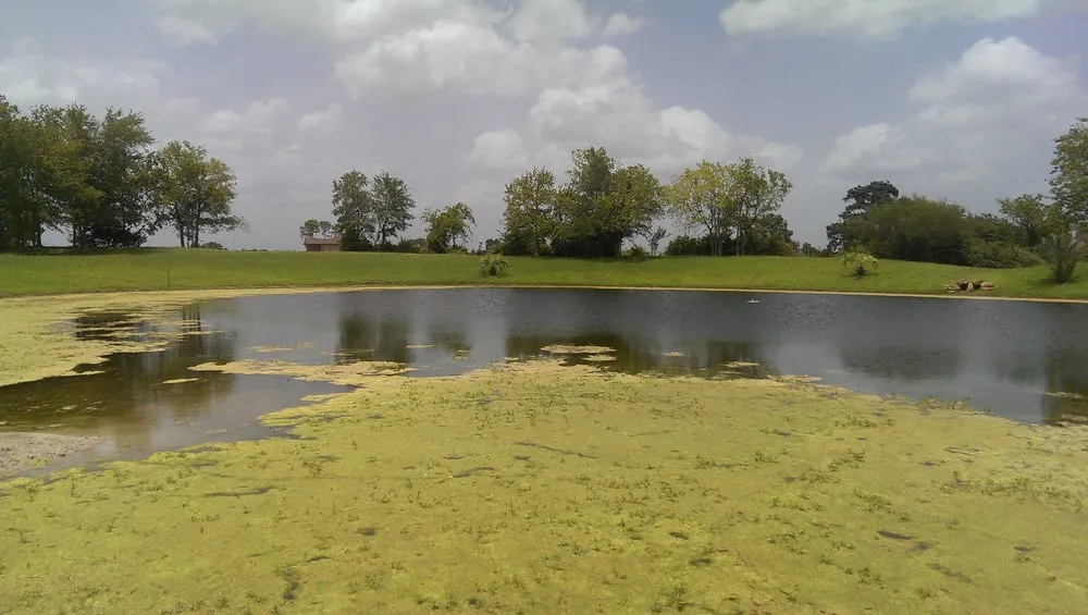 Reliable landscape design experts serving Houston, TX - Aqua Landscape of Houston