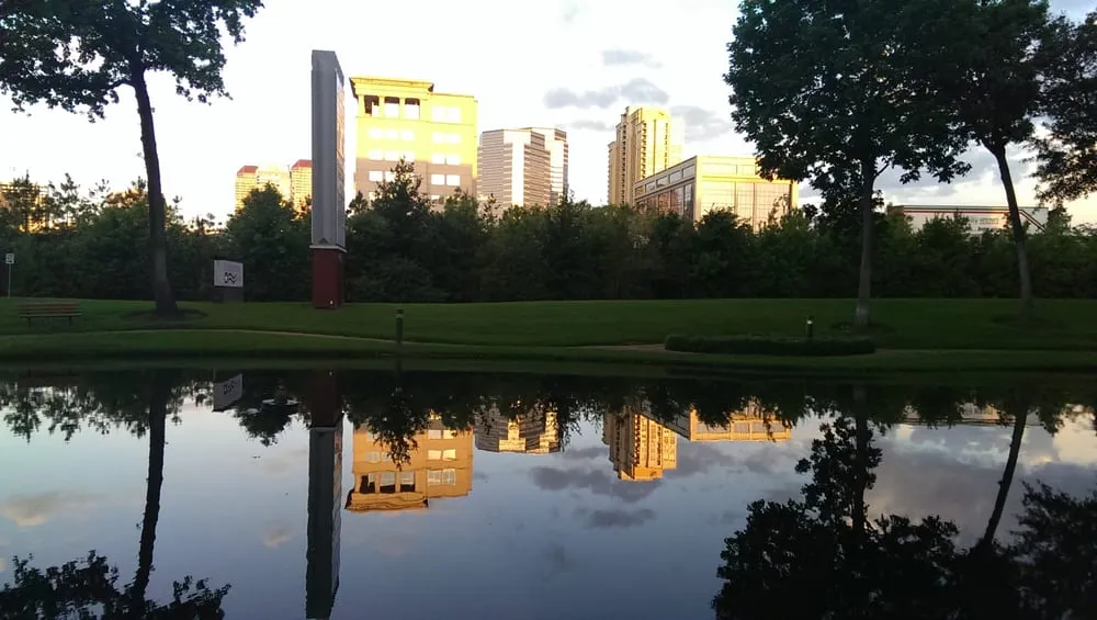 Custom yard cleanup service near you in Houston, TX by Aqua Landscape of Houston