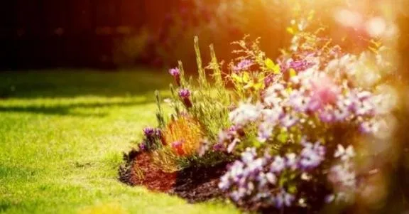 Professional outdoor landscaping for residential properties in West Monroe, LA by Aqua Lux Solutions