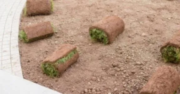 Professional yard maintenance in West Monroe, LA by Aqua Lux Solutions