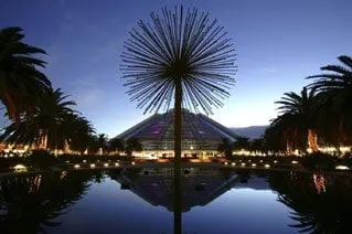 Expert lawn mowing service with custom design across Antelope, CA - Aqua Magic Pool & Spa