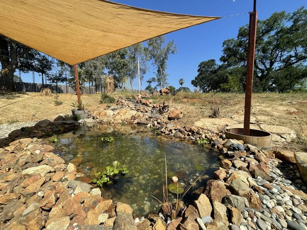 Trusted lawn mowing service in Sacramento, CA by Aqua Scapes Repair Services