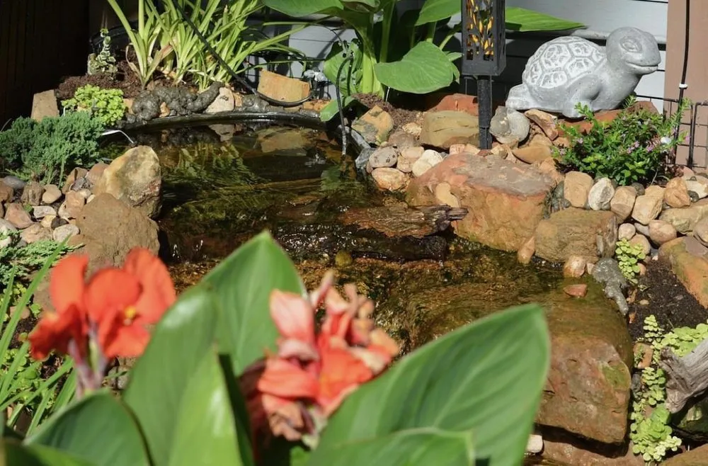 Reliable residential landscaping in Houston, TX by Aqua-Springs