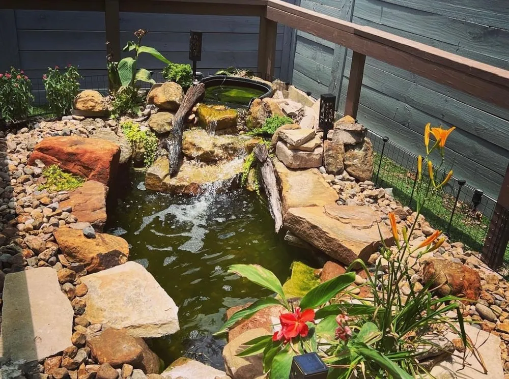 Expert yard maintenance in Houston, TX by Aqua-Springs