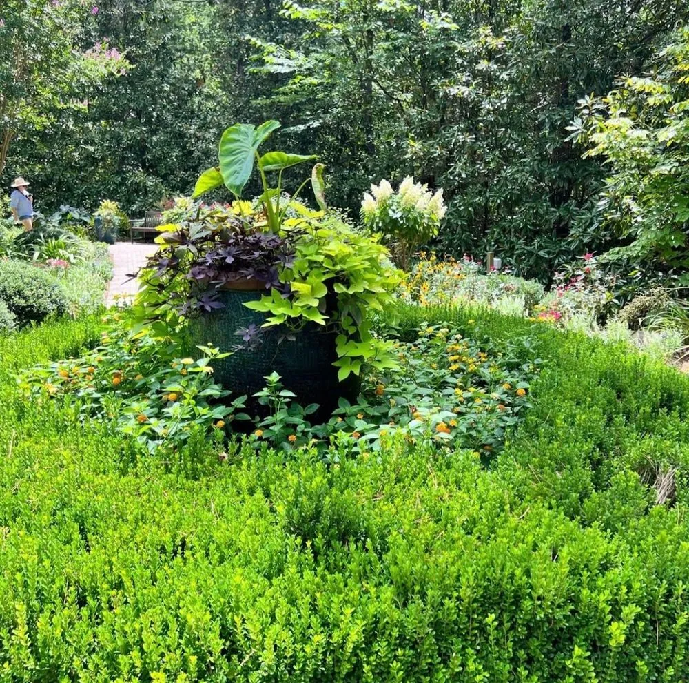 Trusted yard maintenance for beautiful yards across Houston, TX - Aqua-Springs