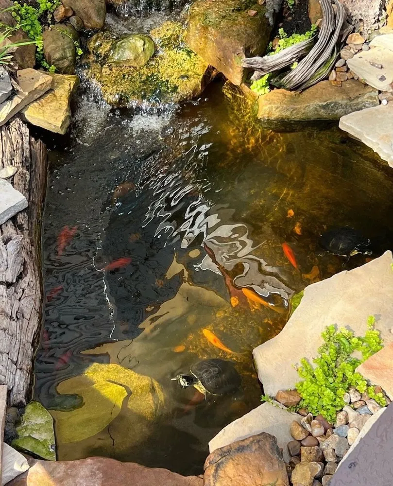 Top-rated residential landscaping experts serving Houston, TX - Aqua-Springs