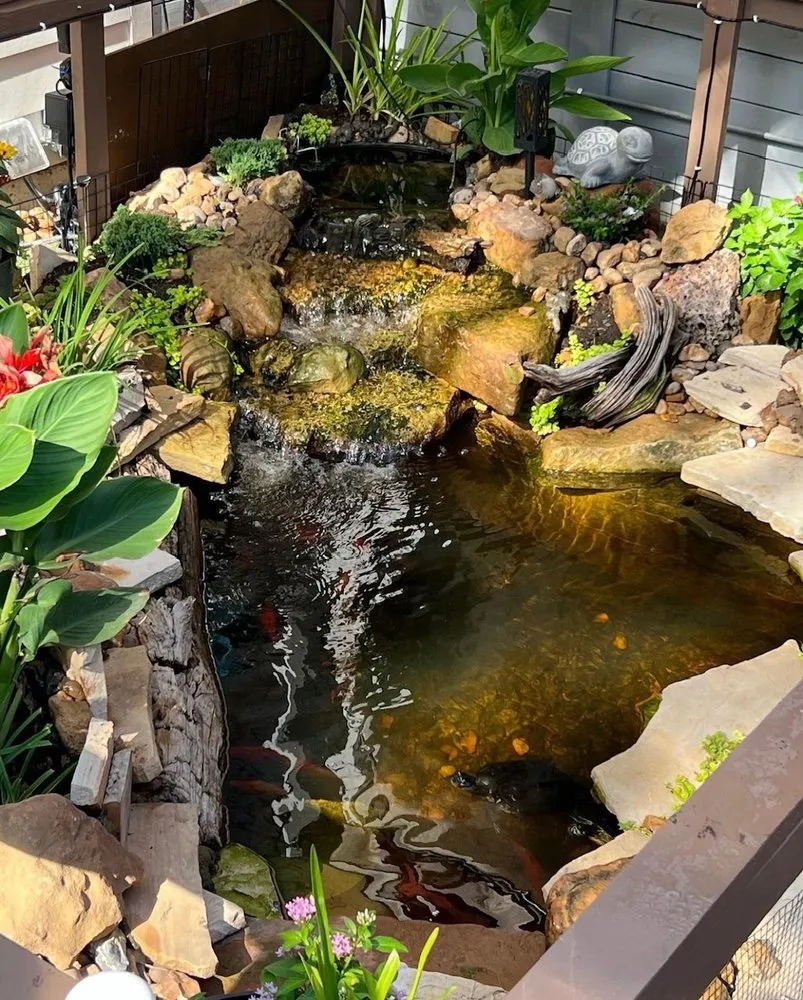 Local yard cleanup service experts serving Houston, TX - Aqua-Springs