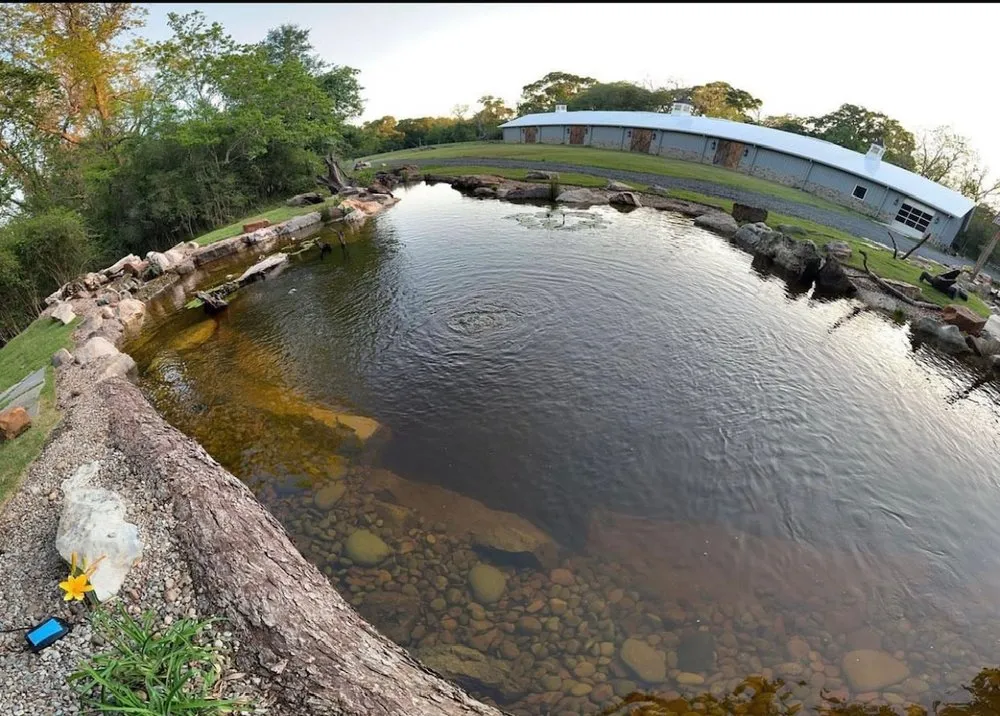 Reliable landscaping services for homes in Houston, TX by Aqua-Springs