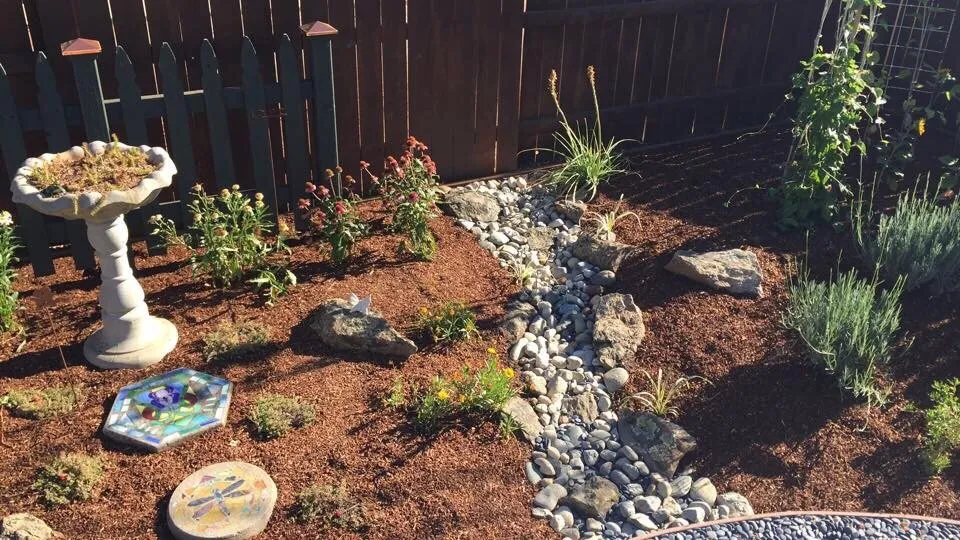 Local landscape design for year-round maintenance in Chico, CA by Aqua-Terra Landscapes