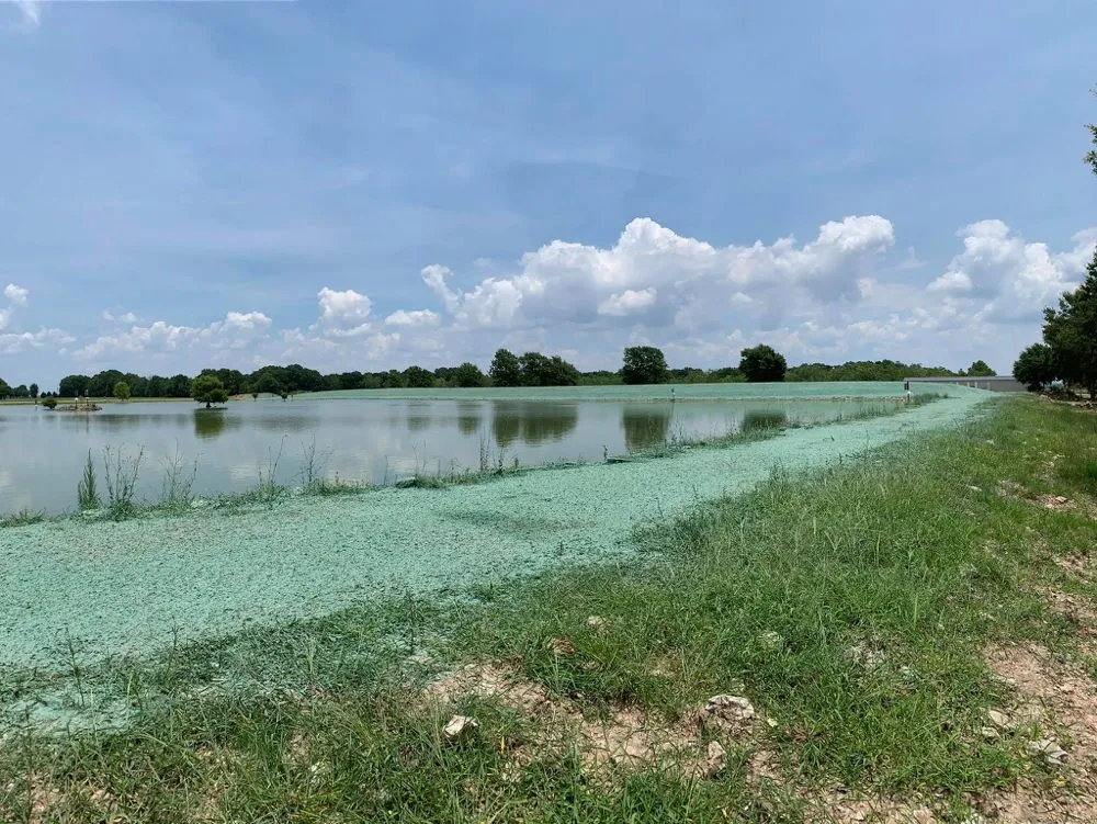 Trusted landscape design in Lake Charles, LA by Aqua Turf Hydro-Seeding