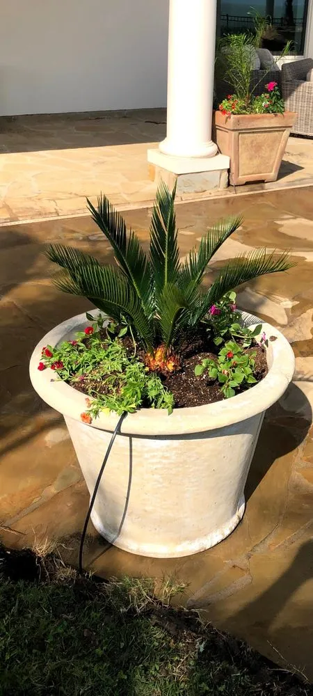 Affordable landscaping services for year-round maintenance across Corpus Christi, TX - Aquaflo Turf and Irrigation