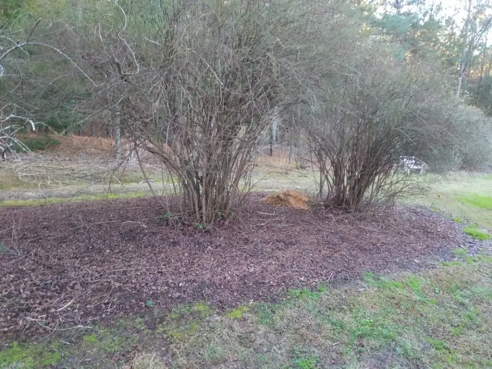 Professional residential landscaping for outdoor upgrades across Pickens, SC - A+Quality Home Improvement And Yard Services